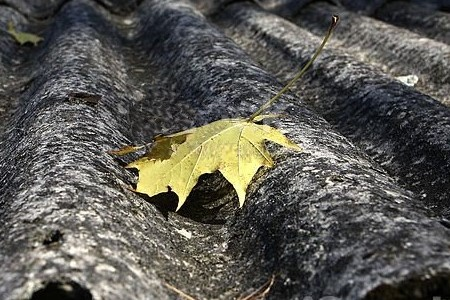 Servizio smaltimento rifiuti